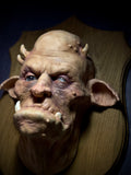 Orc taxidermy