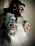 3 circus chimps
