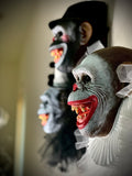 3 circus chimps
